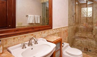 945 E Cooper Ave, Aspen, CO 81611