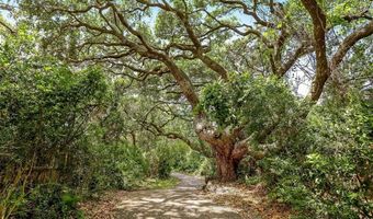 96121 HANGING MOSS Dr, Amelia Island, FL 32034