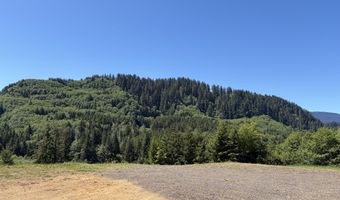 301 UPPER NESTUCCA RIVER Rd, Beaver, OR 97108