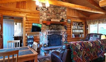 110 Pine Tree Ln, Almont, CO 81210