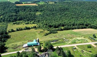 1406 Hallsport Independence Rd, Andover, NY 14806