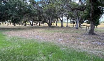 3993 NE BOBAY Rd, Arcadia, FL 34266