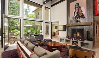 1145 Black Birch Dr, Aspen, CO 81611
