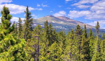 2221 KOOTCHIE KOOTCHIE Rd, Alma, CO 80420