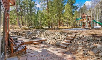251 Haugen Slide Rd, Allenspark, CO 80510