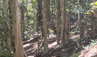 2762 Hana Hwy Lot Cpr B, Haiku, HI 96708