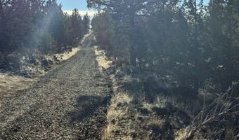 Canvasback Drive, Bonanza, OR 97623