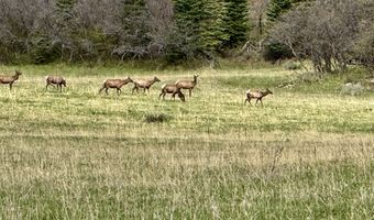 15098 CR 240, Bayfield, CO 81122