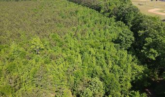 Colice Hall Lane, Ahoskie, NC 27910