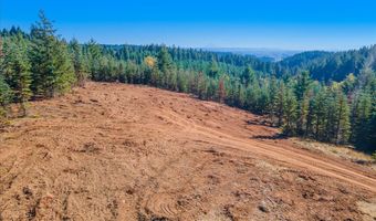 NW LODGE Rd, Banks, OR 97106