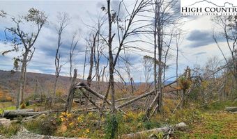 A18 Meadow Ave Loop, Banner Elk, NC 28604