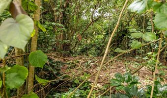 ALA HEIAU RD, Keaau, HI 96749