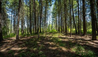 965 Trails End Rd, Athol, ID 83801