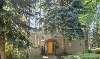 530 W Francis St, Aspen, CO 81611
