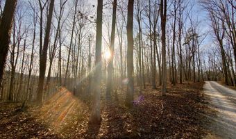 Muddy Ridge Rd, Adams, KY 41201