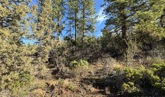 Hummingbird Dr, Bonanza, OR 97623