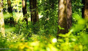 Cypress Pointe Drive lot 3, Brooksville, MS 39739