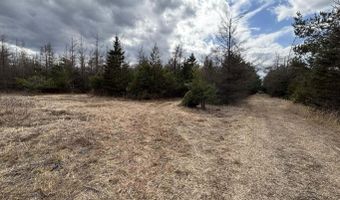 5280 Cathro Rd, Alpena, MI 49707