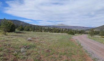 01195 Rito Hondo Rd, Antonito, CO 81120