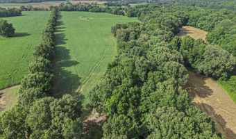 Old Jackson Road, Bells, TN 38006
