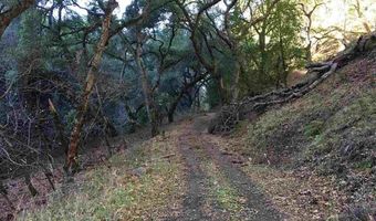Lark Ln, Alamo, CA 94507