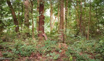 Cypress Pointe Drive lot 10, Brooksville, MS 39739
