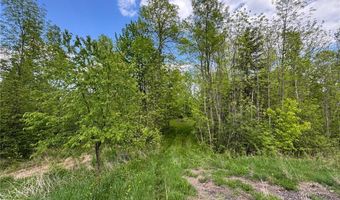 Xxxxx 299th Place, Aitkin, MN 56431