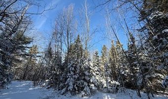 US-1 lot 10, Baring Plt, ME 04694