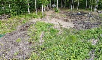 3206 HIDDEN RIDGE Rd, Alanson, MI 49706