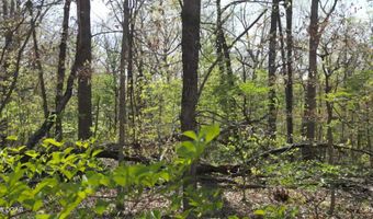 000 Plainview Rd, Anderson, MO 64831