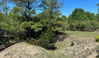 R13945 A0049 J Peterson Tract 11 Acres, Anderson, TX 77830