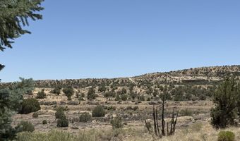 261 ROAD 5500, Bloomfield, NM 87413