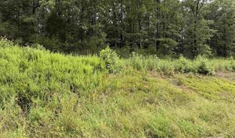Lot 36 Crested Butte, Austin, AR 72007