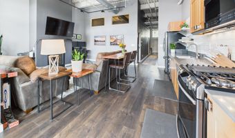 231 Robinson St R306, Basalt, CO 81621