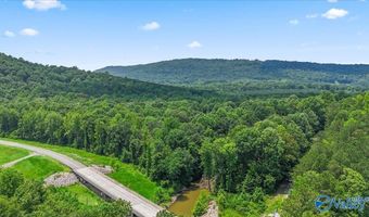 Unit # 0 Murphree Valley Road, Altoona, AL 35952