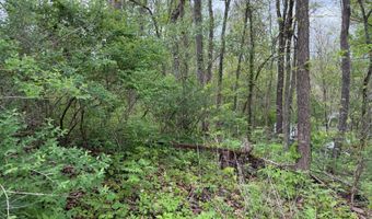 Alta Dr, Alderson, WV 24910