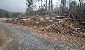 99999 Big Rock Creek Dr, Bakersville, NC 28705