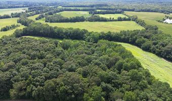 Lower Big Sandy Road, Big Sandy, TN 38221