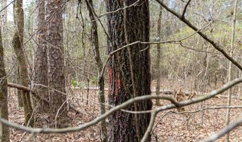 Tbd Pump Station Rd, Ashdown, AR 71822