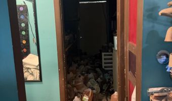 1018 Fitch St, Albion, MI 49224