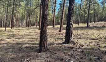 31760 HWY 10 W, Alberton, MT 59820