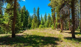 277 Wagon Rd, Breckenridge, CO 80424