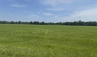 002 Huxford Rd, Atmore, AL 36502