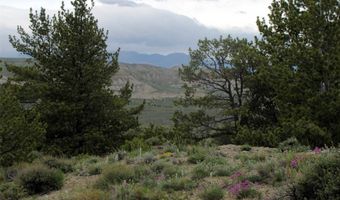 nhn Cottonwood Road, Bridger, MT 59014