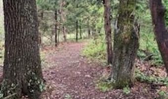 7011 County Road 429, Ava, MO 65608