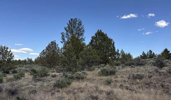 HWY 140 300, Beatty, OR 97621