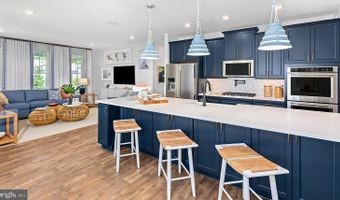 TBB HORNBEAM Drive unit St. Kitts St. Kitts, Frankford, DE 19945