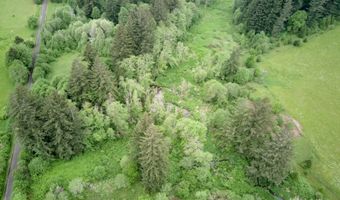NE 389th St, Amboy, WA 98601