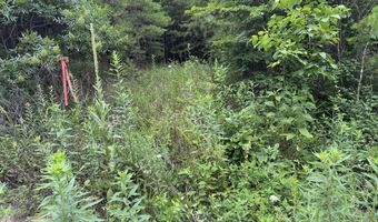 49 Bayside Blvd, Bean Station, TN 37708