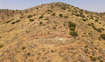 Valleysage Road, Agua Dulce, CA 91350